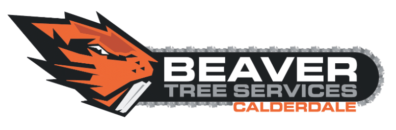 Beaver Tree Services Calderdale