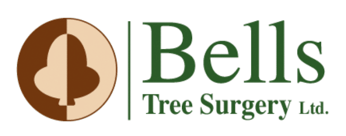 bells-tree-surgery