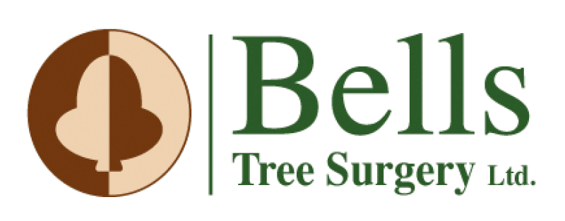 Bells Tree Surgery Ltd