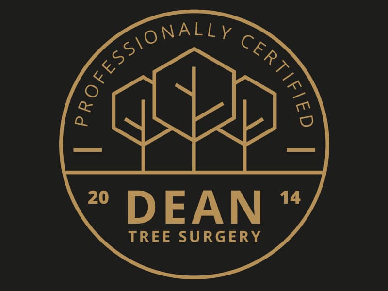 Dean Tree Surgery